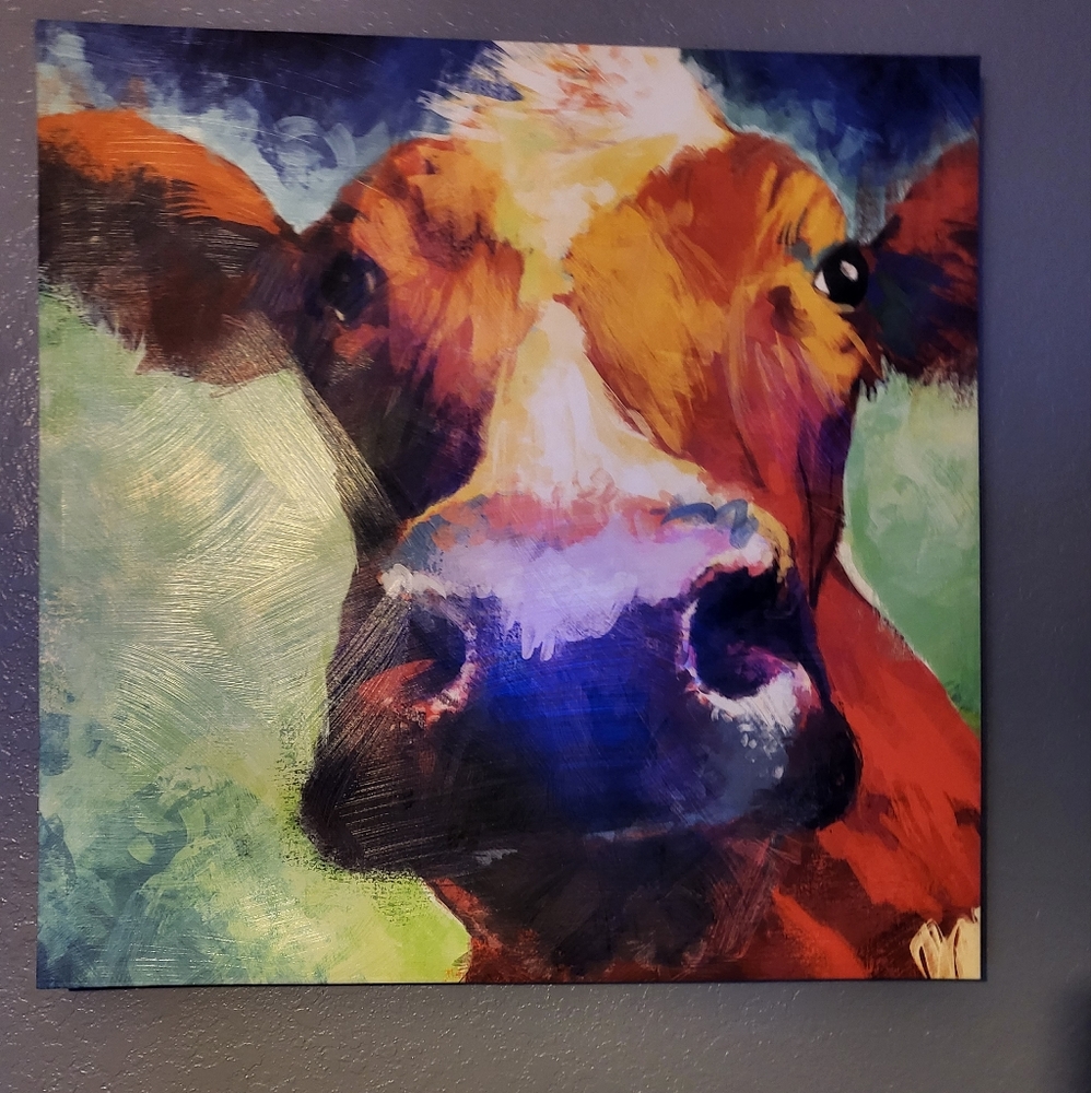 Cow Picture